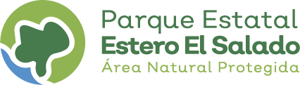 Bienvenido al único ecosistema de manglar urbano protegido en toda América Latina Logo