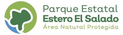 Bienvenido al único ecosistema de manglar urbano protegido en toda América Latina Logo